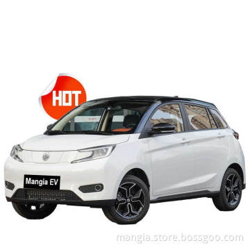 New energy electric vehicle YOUNGGUANGXIAOXIN adult driving 408KM high quality mini car for sale